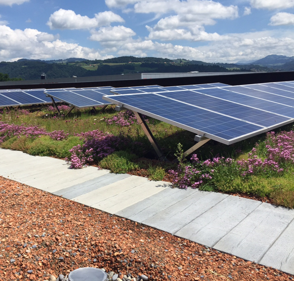Зеленая крыша - солнечная энергия от RAMDA.RU